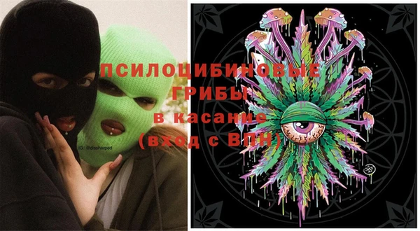 ПСИЛОЦИБИНОВЫЕ ГРИБЫ Кинешма