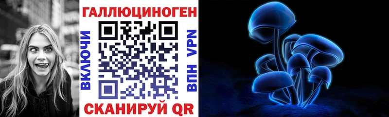 закладка  Куйбышев  Галлюциногенные грибы Magic Shrooms 