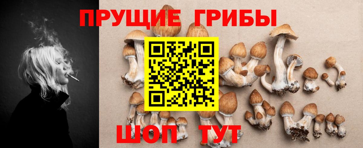 Галлюциногенные грибы MAGIC MUSHROOMS Куйбышев